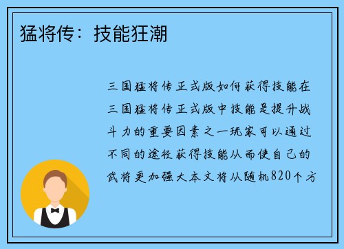 猛将传：技能狂潮